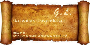 Galvanek Levendula névjegykártya